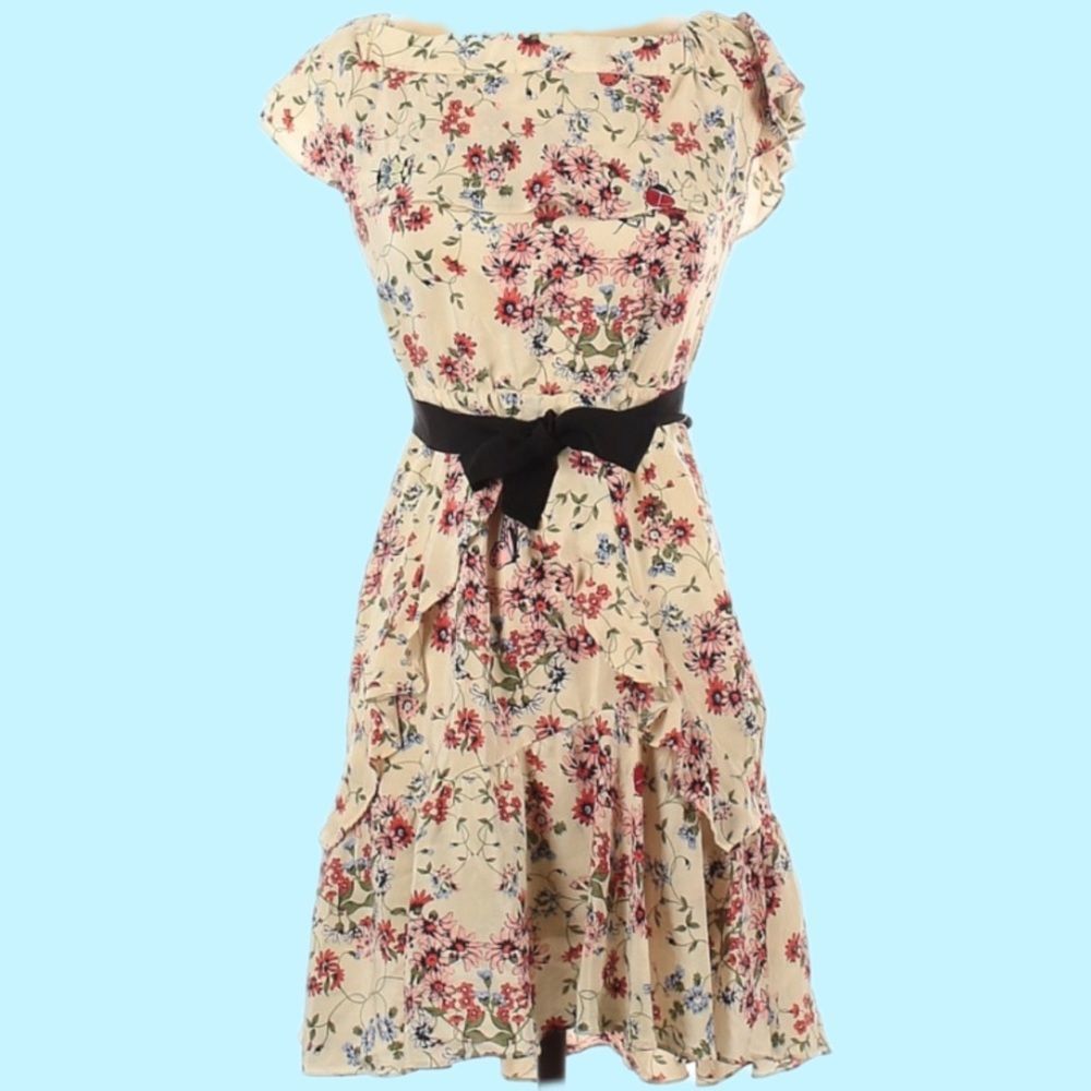 Maje | Modern Cottagecore | Lined |Silk | Butterfly Ladybug Ruffled Floral Dress - Picture 2 of 13